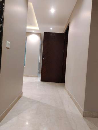 3 BHK Builder Floor For Resale in RWA Greater Kailash 2 Greater Kailash ii Delhi 6733026