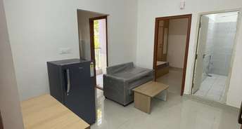 1 BHK Builder Floor For Rent in Brookefield Bangalore 6733041