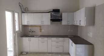 3 BHK Apartment For Rent in Samridhi Luxuriya Avenue Sector 150 Noida 6733189