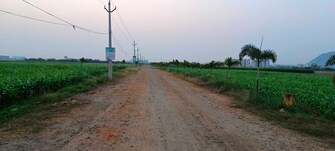 Plot For Resale in Guntur Highway Mangalagiri  6733261