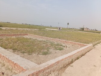 Plot For Resale in Surya Vihar Faridabad  6733533