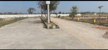 Plot For Resale in Jewar Greater Noida  6733919