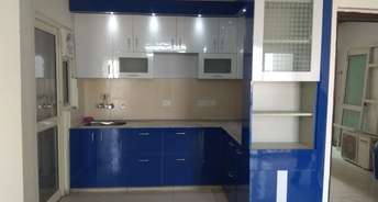 3 BHK Apartment For Rent in Amrapali Golf Homes Sector 4, Greater Noida Greater Noida 6734234