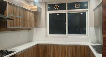 3 BHK Builder Floor For Rent in Sector 15 Faridabad 6735292