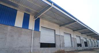 Commercial Warehouse 25000 Sq.Ft. For Rent In Tikratoli Ranchi 6735505