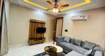 1 BHK Builder Floor For Rent in D1 Vasant Kunj Vasant Kunj Delhi 6736114