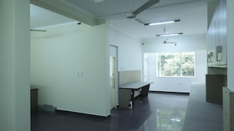 Commercial Office Space 900 Sq.Ft. For Rent in Infantry Road Bangalore  6735795