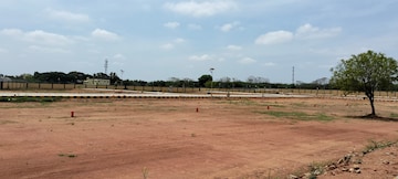 Plot For Resale in Fathima Nagar Trichy  6736042