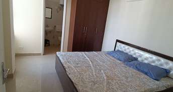 2 BHK Apartment For Rent in Shree Vardhman Mantra Sector 67 Gurgaon 6736087