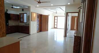 2 BHK Builder Floor For Rent in Phase 2 Mohali 6736154