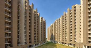2 BHK Apartment For Rent in Conscient Habitat Sector 99a Gurgaon 6736880