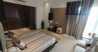 4 BHK Builder Floor For Resale in Nit Area Faridabad 6737007
