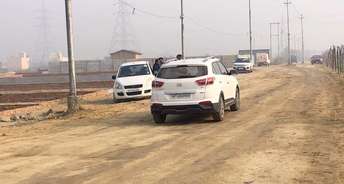  Plot For Resale in Noida Ext Sector 12 Greater Noida 6737054