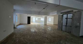 Commercial Office Space 9560 Sq.Ft. For Rent In Nandanam Chennai 6737327