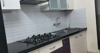 2.5 BHK Apartment For Rent in Sanjay Selenite Baner Pune 6737402