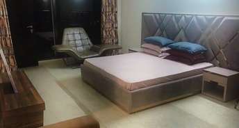 3 BHK Builder Floor For Rent in Sector 15 Faridabad 6737560