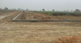  Plot For Resale in Mitra Enclave Greater Noida 6737885