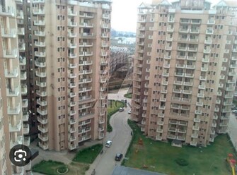 2 BHK Apartment For Resale in SRS Residency Sector 88 Faridabad  6738065