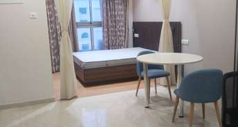 1 BHK Apartment For Rent in Hiranandani Solitaire Studio Apartment Ghodbunder Road Thane 6738119