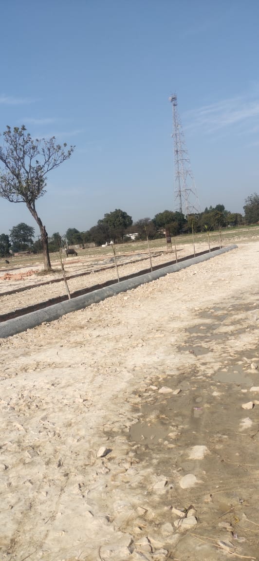 Plot For Resale in Kisan Path Lucknow  6738221