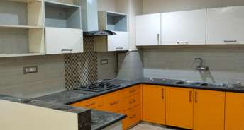 3 BHK Builder Floor For Rent in New Friends Colony Floors New Friends Colony Delhi 6738374