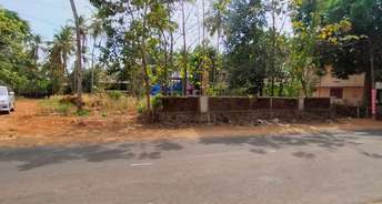 Commercial Land 6534 Sq.Ft. For Resale In Kottekkad Thrissur 6738546
