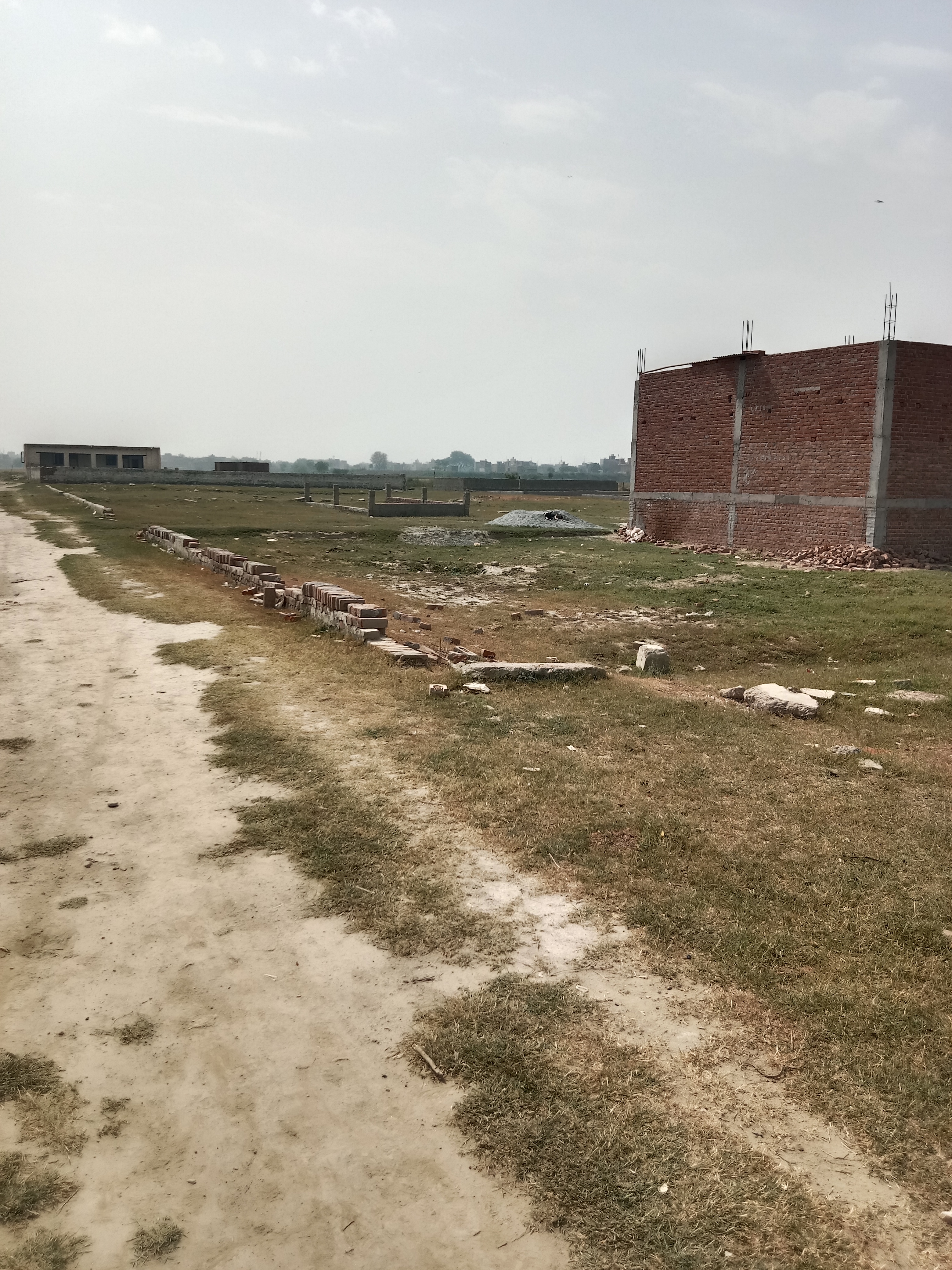 Plot For Resale in Sector 81 Noida  6738933