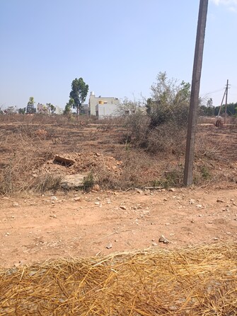 Plot For Resale in Kalbalu Bangalore  6738992