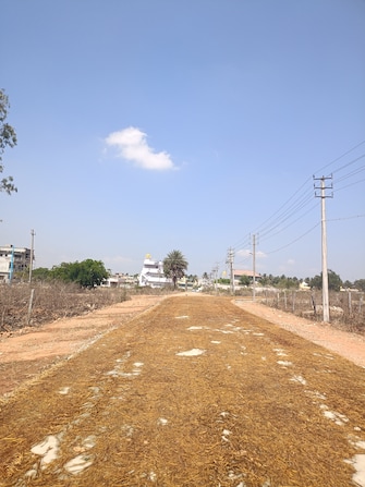 Plot For Resale in Kalbalu Bangalore  6738992