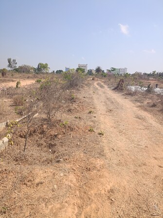 Plot For Resale in Kalbalu Bangalore  6738992