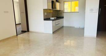 2 BHK Apartment For Rent in Rohan Ishita Mundhwa Road Pune 6739290