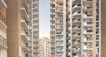 2.5 BHK Apartment For Resale in Express Zenith Sector 77 Noida 6739139