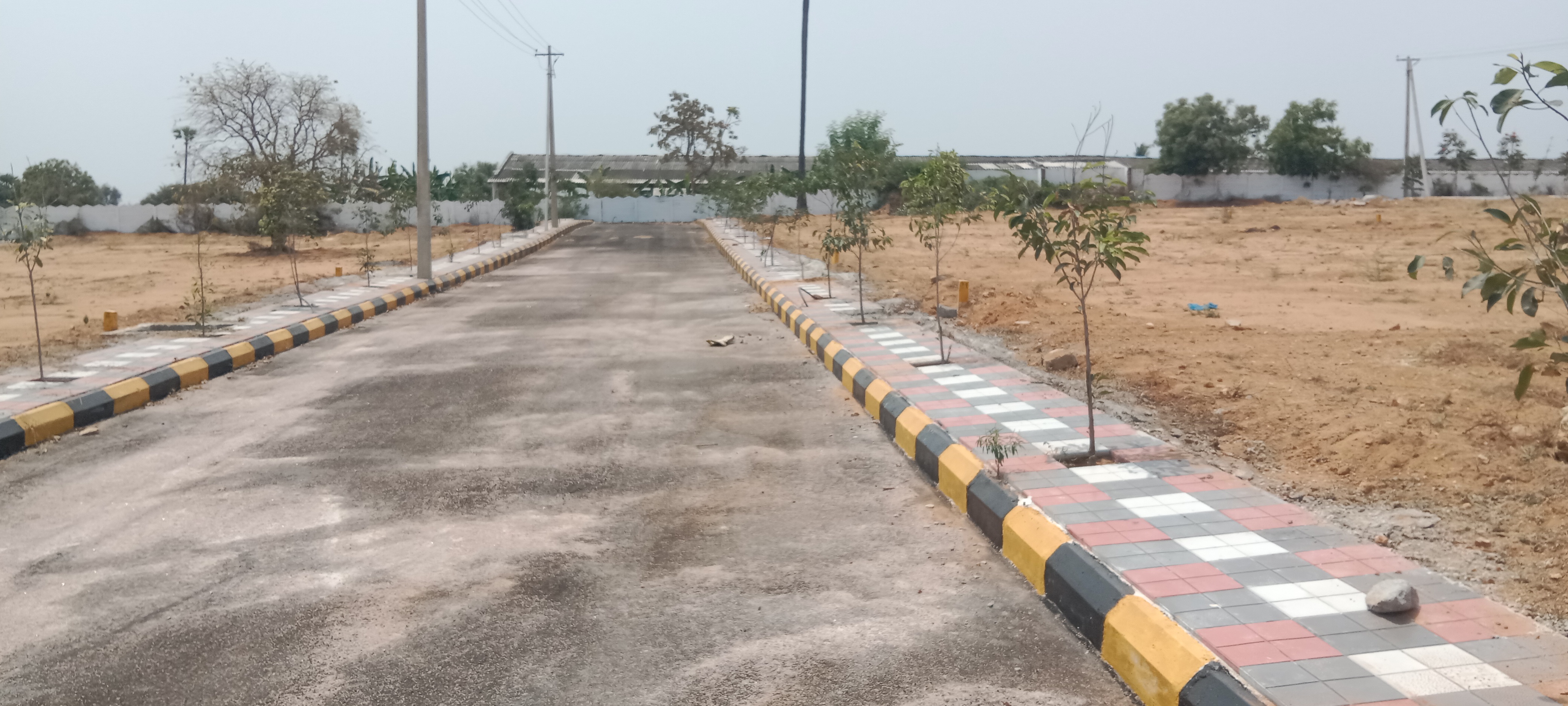 Plot For Resale in Gaddi Annaram Hyderabad  6739368