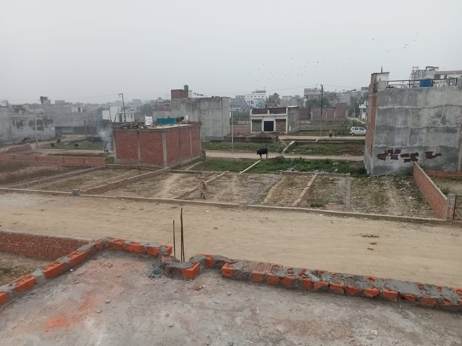 Plot For Resale in Kamta Lucknow  6739887