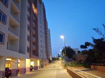 3 BHK Apartment For Rent in Brigade Northridge Kogilu Road Bangalore 6739940