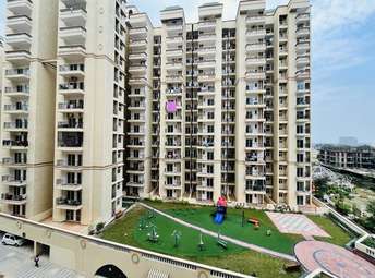 1 BHK Apartment For Rent in Nilaya Greens Raj Nagar Extension Ghaziabad  6740256
