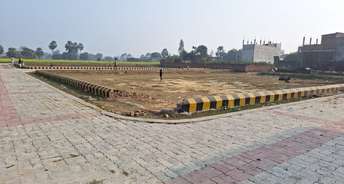  Plot For Resale in Banthra Sikander Pur Lucknow 6740424