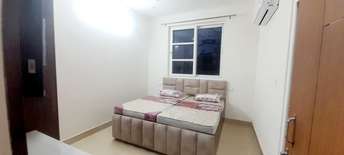 1 BHK Builder Floor For Rent in Royal Residency Gurgaon Sector 45 Gurgaon 6740505