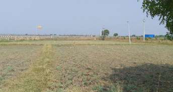 Commercial Land 2 Acre For Rent In Zaheerabad Sangareddy 6740562