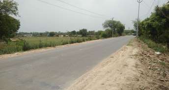 Commercial Land 13000 Sq.Yd. For Resale In Dadri Greater Noida 6740819