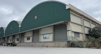 Commercial Warehouse 45500 Sq.Ft. For Rent In Bannerghatta Bangalore 6736686