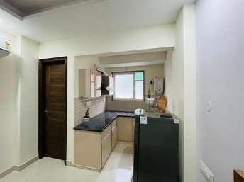 1 RK Builder Floor For Rent in Sector 15 ii Gurgaon 6741027