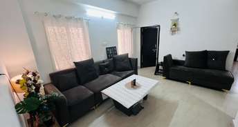 2 BHK Apartment For Rent in Madhapur Hyderabad 6741186