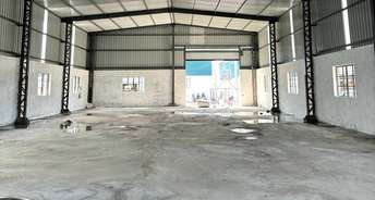 Commercial Warehouse 5000 Sq.Ft. For Rent In Kadi Ahmedabad 6741263