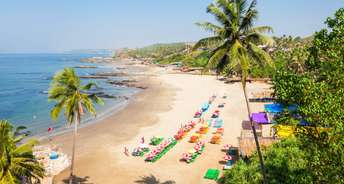 Commercial Land 2266 Sq.Mt. For Resale In Cansaulim Beach Goa 6741270