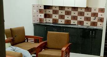 1 BHK Builder Floor For Rent in Ignou Road Delhi 6741433