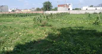 Commercial Industrial Plot 17500 Sq.Yd. For Resale In Sikandrabad Greater Noida 6741424