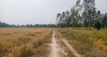 Commercial Land 5 Acre For Resale In Sisandi Lucknow 6741418