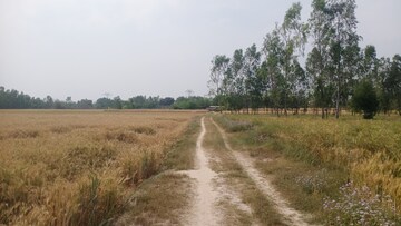 Commercial Land 5 Acre For Resale in Sisandi Lucknow  6741418