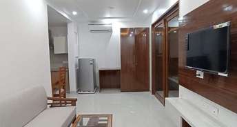 1 BHK Builder Floor For Rent in Sushant Lok ii Gurgaon 6741444